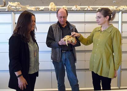 Los paleoantropólogos María Martinón Torres, Tim White y Leslea Hlusko, en el Centro Nacional de Investigación sobre la Evolución Humana, en Burgos.
