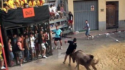 Imagen de archivo de un festejo de toros de calle celebrado en Benifairó de Les Valls.