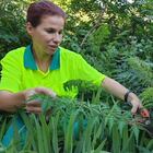 La jardinera Diana Mauri se encarga de las plantas.