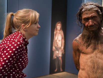 Una empleada del Museo de Historia Natural de Londres mira a un modelo de hombre neandertal.