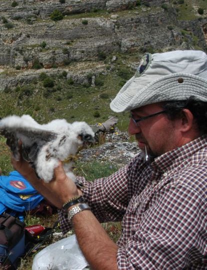 es&uacute;s &Aacute;ngel Lemus con un ave en las Hoces del Durat&oacute;n (Segovia), en 2007.