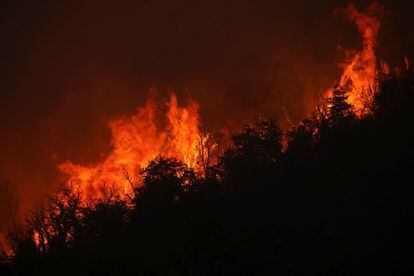 Las llamas consumen un bosque en Bariloche, en la provincia de Río Negro, este jueves. Varios incendios llevan semanas activos en las provincias de Neuquen, Río Negro y Chubut. 