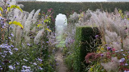 El jardín Plume, en la región de Alta Normandía (Francia), en otoño está cercado por setos de haya y carpe.