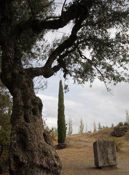 Paraje de Alfacar (Granada) en el que se supone que está enterrado Lorca.