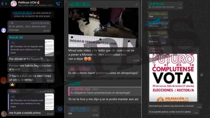 Screenshots of the university chat rooms where the adviser to the mayor of Madrid, José Luis Martínez-Almeida, infiltrated.