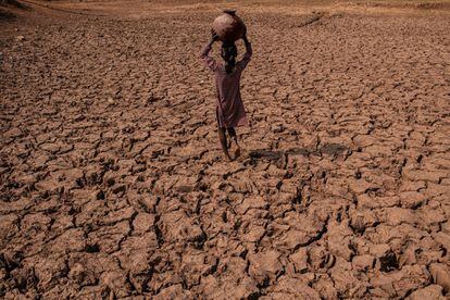 Campesina en tierra de sequía en Charam, Uttar Pradesh, India.