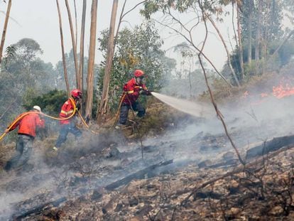 Bomberos trabajando en la extinción de un fuego en Maçao, en el centro de Portugal. En vídeo, continúan los incendios.