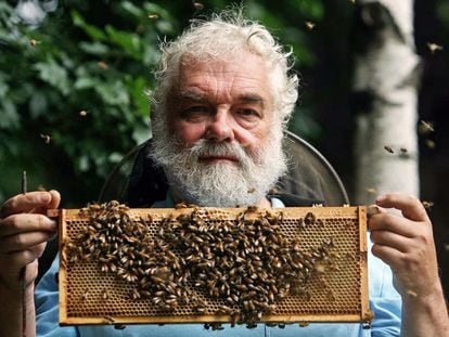 John Chapple, presidente de London Beekeepers Association y apicultor de las colmenas reales, fotografiado en 2008.