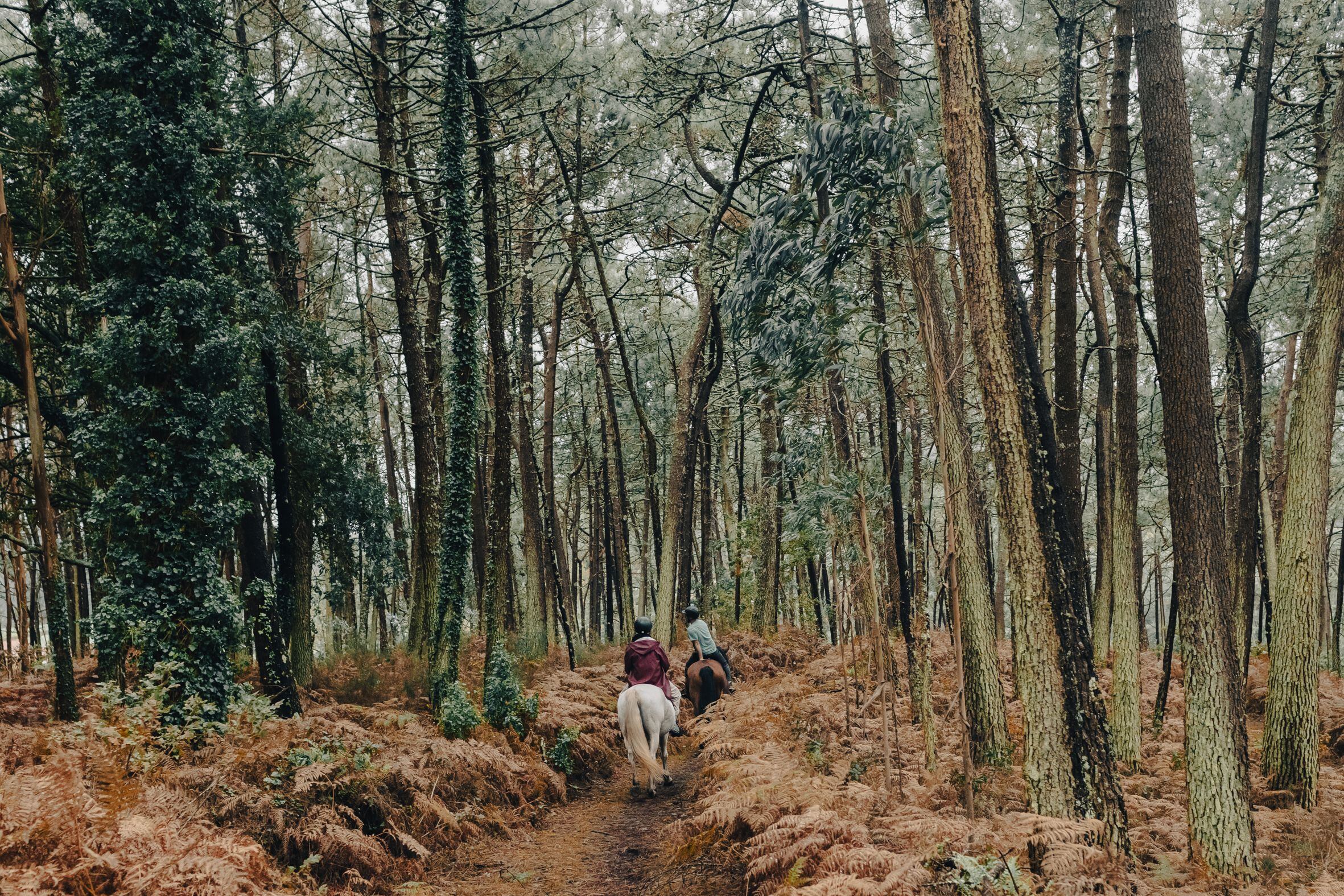 El instructor Brais Martínez, en el caballo que lidera la marcha, y un visitante transitan por una zona boscosa en Leis de Nemancos (Muxía).