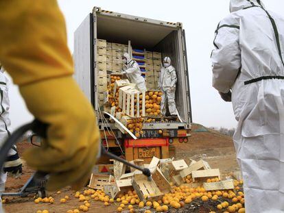 Los operarios descargan las naranjas espa&ntilde;olas que fueron destruidas en China