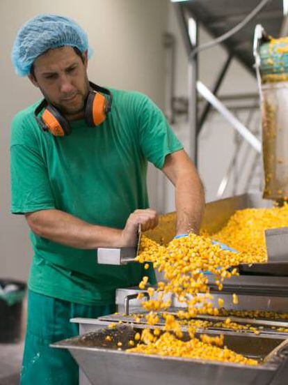 Un operario controla el flujo de ma&iacute;z cocido en la f&aacute;brica de Super-Mex en El Puerto de Santa Mar&iacute;a (C&aacute;diz).