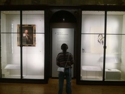 Image of the exhibition on Audubon at the Natural History Museum in London.