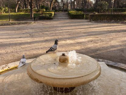 Una paloma se posa en una fuente del parque del Retiro en la que el agua no sale por la tubería y sí por un agujero dentro de la propia fuente.