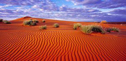 Dunas del desierto Simpson, en Australia.