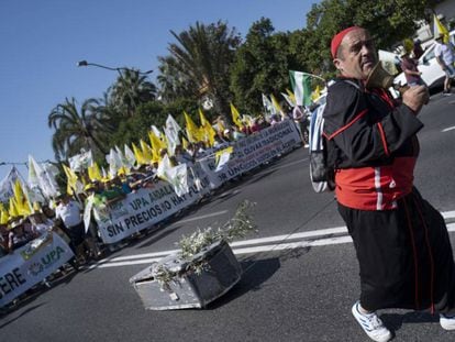 Manifestante en la protesta por precios dignos de olivareros en Sevilla.