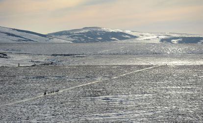 Jeff King, de Denali (Alaska) entre el puesto de control de White Mountain y Safety, última parada antes de cruzar la línea de meta en Nome, 10 de marzo de 2014.
