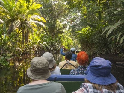 Unos turistas se adentran en piragua en la selva amazónica de Yasuní, en Ecuador.