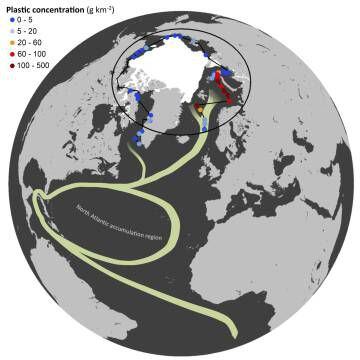 El mapa muestra las áreas de muestreo durante la expedición, el flujo de la corriente termohalina y la concentración de plástico por Km2.