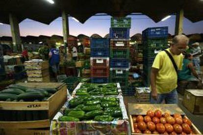 Un hombre camina en el mercado de abastos Ceasa, el segundo mayor de América Latina, en Río de Janeiro (Brasil). EFE/Archivo