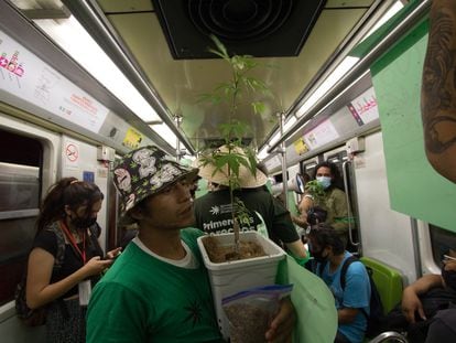 Un activista a favor de la legalización de la marihuana en el metro de Ciudad de México.