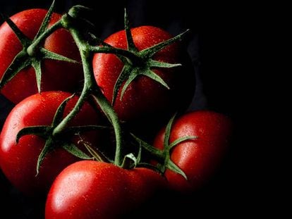 Renuncia a comer tomates en invierno y salva el planeta