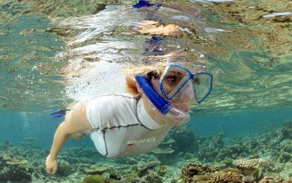 Snorkelling en arrecife coralino