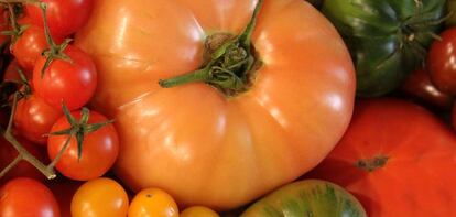 Bodegón de tomates