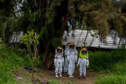 Niños  participan en una clase sobre la producción de miel en una chinampa de  Xochimilco en Ciudad de México.