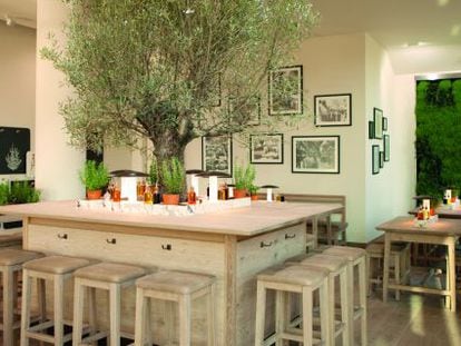 La cadena Vapiano quiere plantar su olivo en España