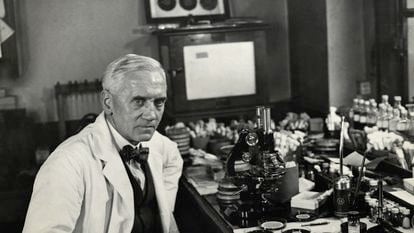 Alexander Fleming (1881-1955) al seu laboratori (circa 1929).