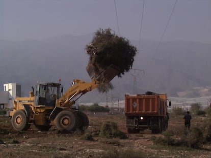 A backhoe from the City Council of El Ejido, in the midst of destroying artineras during the year 2000. CREDIT BY ECOLOGISTS IN ACTION