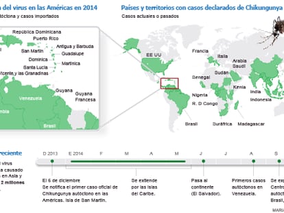 El mosquito que te deja doblado