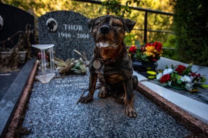 Tomb of the dog Thor in the cemetery of small animals.