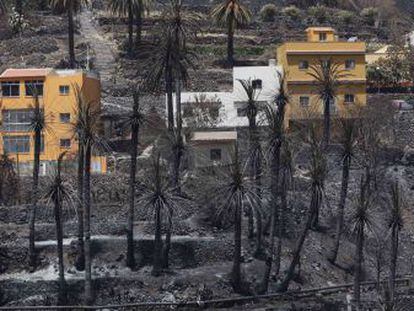 El barranco de Valle Gran Rey, quemado por el fuego en La Gomera.