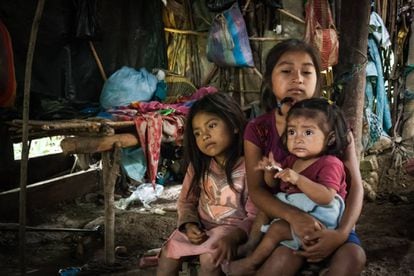 El 46,5% de los niños de Guatemala sufre desnutrición crónica.