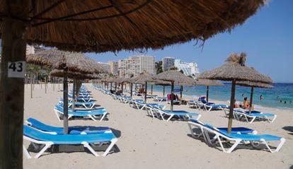 Zona de tumbonas de la playa de Magaluf, en Mallorca, casi vacío el 30 de julio.