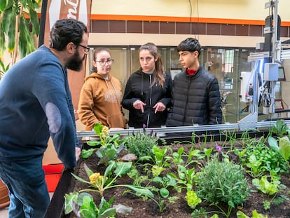 El profesor de botánica aplicada del IES Humanes de Madrid explica a los alumnos Elena Gómez, Nora Ferrero y Lorenzo Serrano el funcionamiento del robot agricultor instalado en el centro.