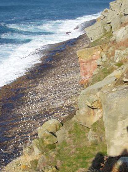 Zona costera del monte Jaizkibel, donde está proyectado el nuevo Puerto de Pasaia.