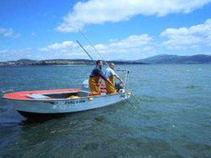 Pesquería artesanal de la Sociedad Cooperativa Gallega Ría de Arosa, una de las tres con certificado MSC en España.