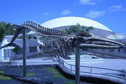 Esqueleto de un rorcual tropical, frente al Museo de Cetáceos de Canarias, en Yaiza (Lanzarote).