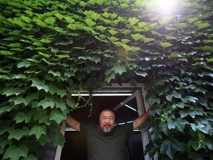 El artista chino Ai Weiwei, en la puerta de su estudio en Pek&iacute;n.