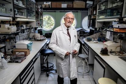 Luis Enjuanes en su laboratorio de la Universidad Autónoma de Madrid, el 19 de junio de 2020.