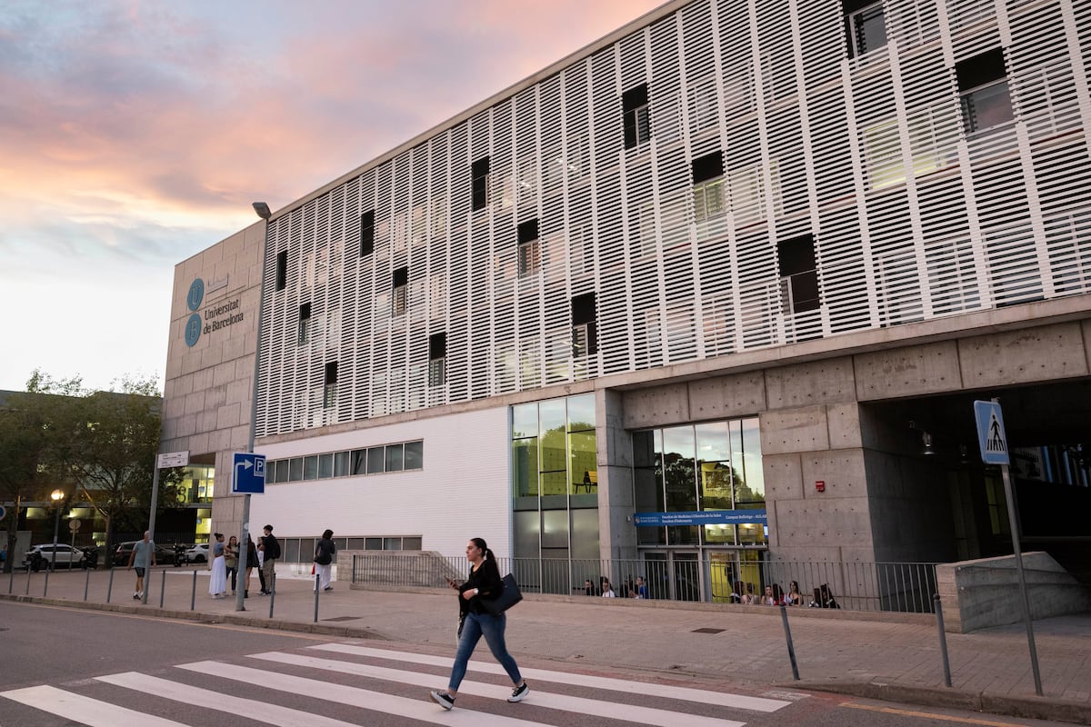 Educación: Las universidades quieren más financiación del Estado para poner en marcha la nueva ley ante las desigualdades entre autonomías | Educación