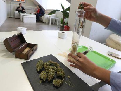 Socios en un club de fumadores, donde se consume marihuana y hachís, en Madrid.