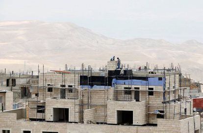 Obreros trabajan en la construcción de un edificio en el asentamiento judío cisjordano de Maale Adumim en mayo de 2014.