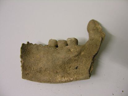 Fragmento de la mandíbula del hombre enterrado en el dolmen de El Sotillo, en Álava.