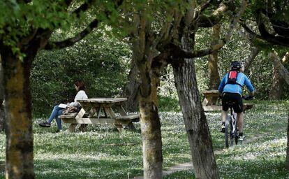 Un ciclista pasa por un parque en Pamplona mientras una mujer lee un libro.