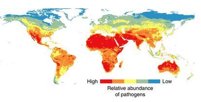 Mapa que muestra la distribución actual de las mayores concentraciones de patógenos. Los colores más rojizos muestran las zonas con más abundancia de estos.