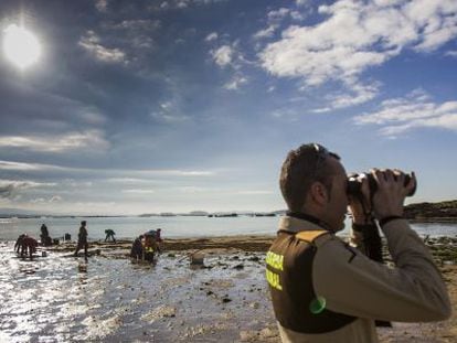 Un guardia rural de la cofradía de Cabo de Cruz vigila que no haya mariscadores furtivos en los arenales de Boiro (A Coruña) en noviembre.