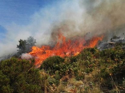 Uno de los focos en el incendio del Valle del Jerte.